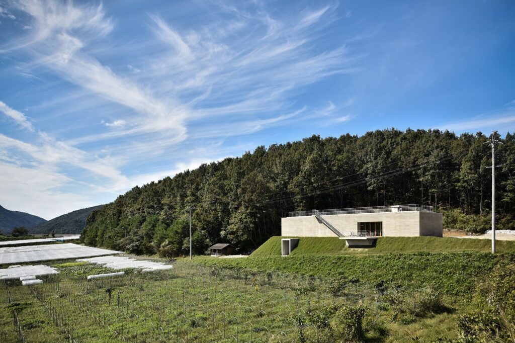 domaine tetta. WonderWall / Masamichi Katayama. Projects – 3